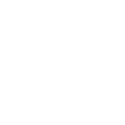 Discovery